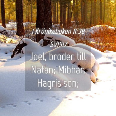 Picture 04 - 1 Krönikeboken 11:38 SV1917 - Joel, broder till Natan; Mibhar, Hagris - Bible Verse Picture