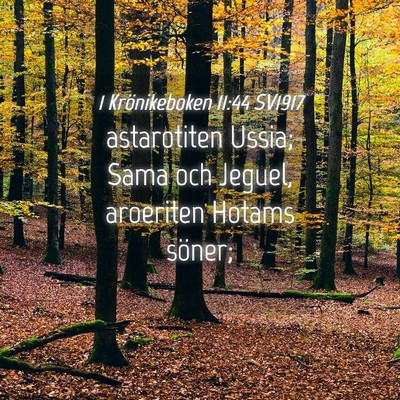 Picture 04 - 1 Krönikeboken 11:44 SV1917 - astarotiten Ussia; Sama och Jeguel, aroeriten - Bible Verse Picture