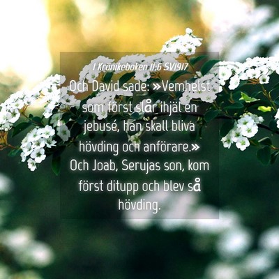Picture 04 - 1 Krönikeboken 11:6 SV1917 - Och David sade: »Vemhelst som först slår - Bible Verse Picture