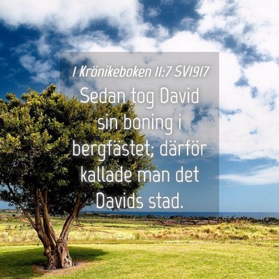 Picture 04 - 1 Krönikeboken 11:7 SV1917 - Sedan tog David sin boning i bergfästet; - Bible Verse Picture