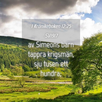 Picture 04 - 1 Krönikeboken 12:25 SV1917 - av Simeons barn tappra krigsmän, sju tusen ett - Bible Verse Picture