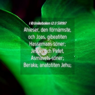 Picture 04 - 1 Krönikeboken 12:3 SV1917 - Ahieser, den förnämste, och Joas, gibeatiten - Bible Verse Picture