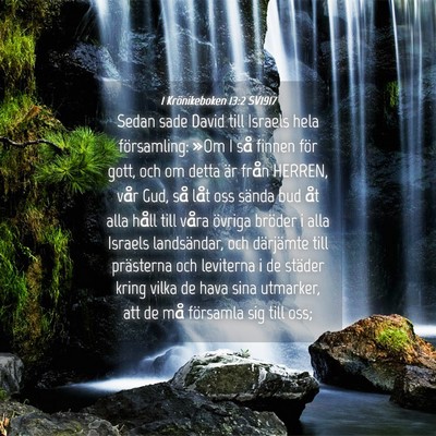Picture 04 - 1 Krönikeboken 13:2 SV1917 - Sedan sade David till Israels hela församling: - Bible Verse Picture