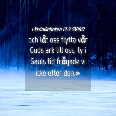 Picture 04 - 1 Krönikeboken 13:3 SV1917 - och låt oss flytta vår Guds ark till oss, ty i - Bible Verse Picture