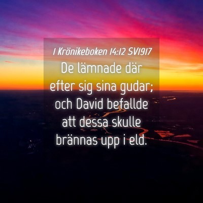 Picture 04 - 1 Krönikeboken 14:12 SV1917 - De lämnade där efter sig sina gudar; och David - Bible Verse Picture