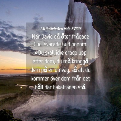 Picture 04 - 1 Krönikeboken 14:14 SV1917 - När David då åter frågade Gud, svarade Gud - Bible Verse Picture