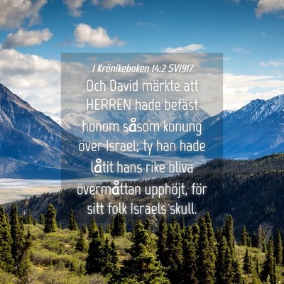 Picture 04 - 1 Krönikeboken 14:2 SV1917 - Och David märkte att HERREN hade befäst honom - Bible Verse Picture