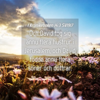 Picture 04 - 1 Krönikeboken 14:3 SV1917 - Och David tog sig ännu flera hustrur i - Bible Verse Picture