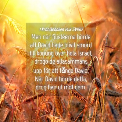 Picture 04 - 1 Krönikeboken 14:8 SV1917 - Men när filistéerna hörde att David hade - Bible Verse Picture