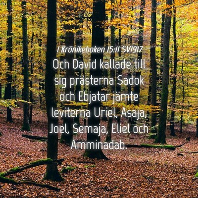 Picture 04 - 1 Krönikeboken 15:11 SV1917 - Och David kallade till sig prästerna Sadok och - Bible Verse Picture