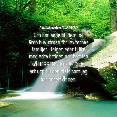 Picture 04 - 1 Krönikeboken 15:12 SV1917 - Och han sade till dem: »I ären huvudmän för - Bible Verse Picture