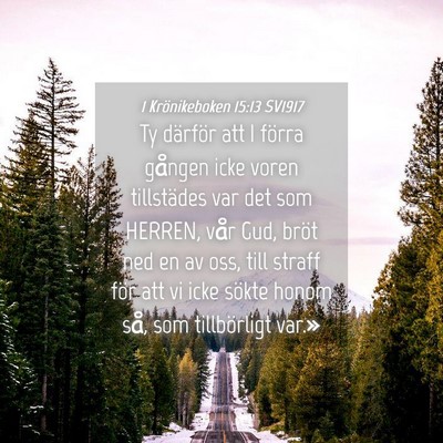 Picture 04 - 1 Krönikeboken 15:13 SV1917 - Ty därför att I förra gången icke voren - Bible Verse Picture