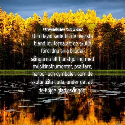 Picture 04 - 1 Krönikeboken 15:16 SV1917 - Och David sade till de översta bland leviterna - Bible Verse Picture