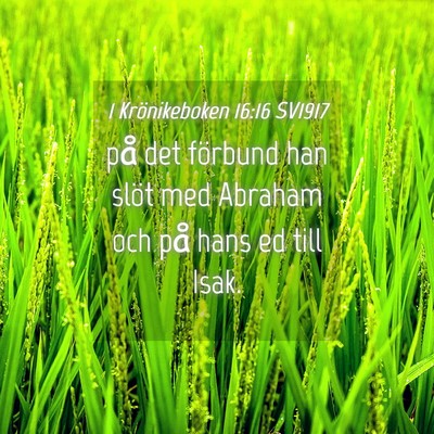 Picture 04 - 1 Krönikeboken 16:16 SV1917 - på det förbund han slöt med Abraham och på - Bible Verse Picture