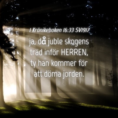 Picture 04 - 1 Krönikeboken 16:33 SV1917 - ja, då juble skogens träd inför HERREN, ty han - Bible Verse Picture