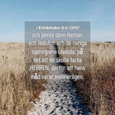 Picture 04 - 1 Krönikeboken 16:41 SV1917 - och jämte dem Heman och Jedutun och de övriga - Bible Verse Picture