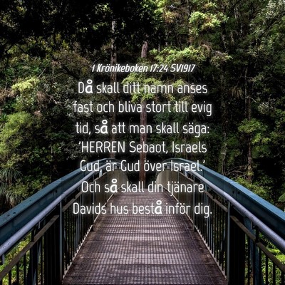 Picture 04 - 1 Krönikeboken 17:24 SV1917 - Då skall ditt namn anses fast och bliva stort - Bible Verse Picture