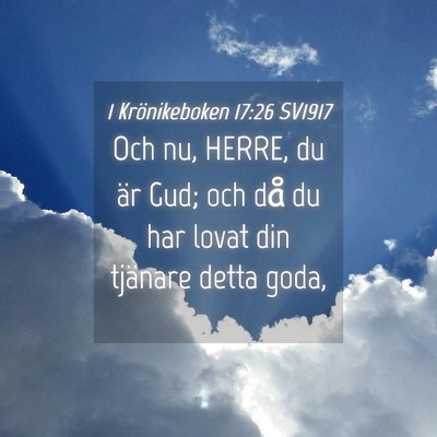 Picture 04 - 1 Krönikeboken 17:26 SV1917 - Och nu, HERRE, du är Gud; och då du har lovat - Bible Verse Picture