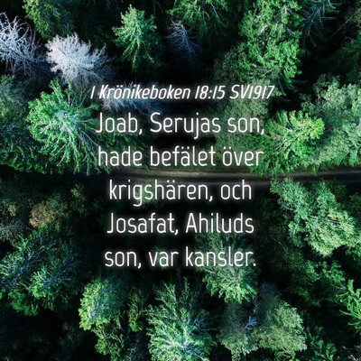 Picture 04 - 1 Krönikeboken 18:15 SV1917 - Joab, Serujas son, hade befälet över - Bible Verse Picture