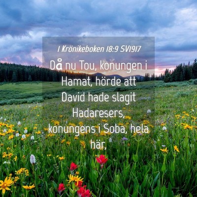 Picture 04 - 1 Krönikeboken 18:9 SV1917 - Då nu Tou, konungen i Hamat, hörde att David - Bible Verse Picture