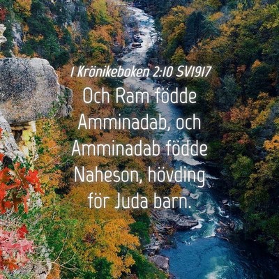 Picture 04 - 1 Krönikeboken 2:10 SV1917 - Och Ram födde Amminadab, och Amminadab födde - Bible Verse Picture