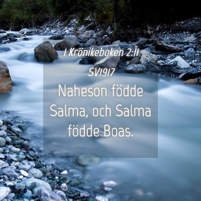 Picture 04 - 1 Krönikeboken 2:11 SV1917 - Naheson födde Salma, och Salma födde - Bible Verse Picture
