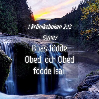 Picture 04 - 1 Krönikeboken 2:12 SV1917 - Boas födde Obed, och Obed födde - Bible Verse Picture