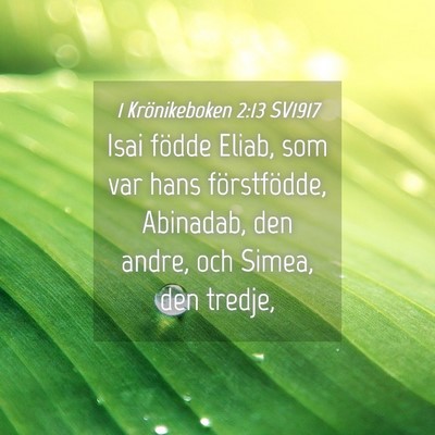 Picture 04 - 1 Krönikeboken 2:13 SV1917 - Isai födde Eliab, som var hans förstfödde, - Bible Verse Picture