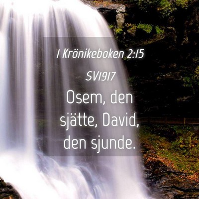Picture 04 - 1 Krönikeboken 2:15 SV1917 - Osem, den sjätte, David, den - Bible Verse Picture