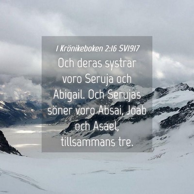 Picture 04 - 1 Krönikeboken 2:16 SV1917 - Och deras systrar voro Seruja och Abigail. Och - Bible Verse Picture