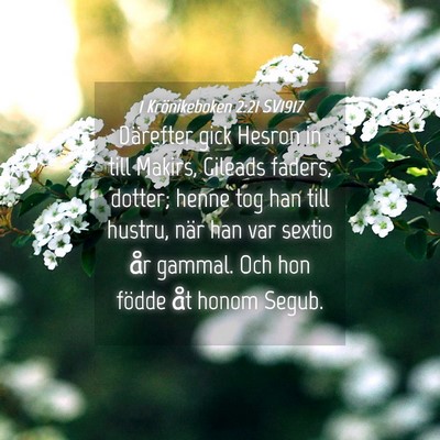 Picture 04 - 1 Krönikeboken 2:21 SV1917 - Därefter gick Hesron in till Makirs, Gileads - Bible Verse Picture
