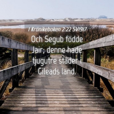 Picture 04 - 1 Krönikeboken 2:22 SV1917 - Och Segub födde Jair; denne hade tjugutre - Bible Verse Picture