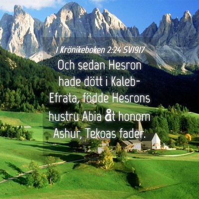 Picture 04 - 1 Krönikeboken 2:24 SV1917 - Och sedan Hesron hade dött i Kaleb-Efrata, - Bible Verse Picture