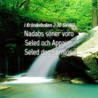 Picture 04 - 1 Krönikeboken 2:30 SV1917 - Nadabs söner voro Seled och Appaim. Seled dog - Bible Verse Picture