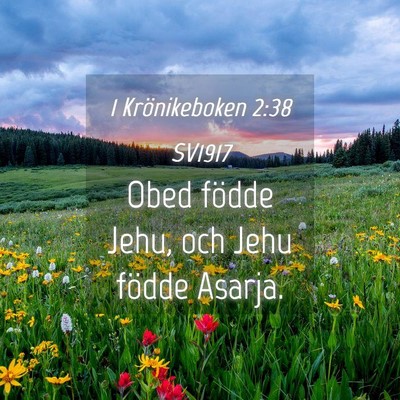 Picture 04 - 1 Krönikeboken 2:38 SV1917 - Obed födde Jehu, och Jehu födde - Bible Verse Picture