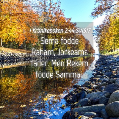 Picture 04 - 1 Krönikeboken 2:44 SV1917 - Sema födde Raham, Jorkeams fader. Men Rekem - Bible Verse Picture