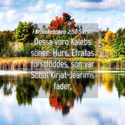 Picture 04 - 1 Krönikeboken 2:50 SV1917 - Dessa voro Kalebs söner: Hurs, Efratas - Bible Verse Picture