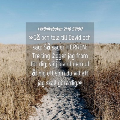 Picture 04 - 1 Krönikeboken 21:10 SV1917 - »Gå och tala till David och säg: Så säger - Bible Verse Picture