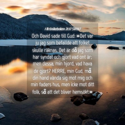 Picture 04 - 1 Krönikeboken 21:17 SV1917 - Och David sade till Gud: »Det var ju jag som - Bible Verse Picture