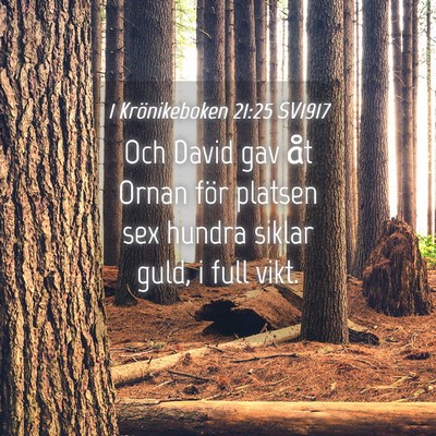 Picture 04 - 1 Krönikeboken 21:25 SV1917 - Och David gav åt Ornan för platsen sex hundra - Bible Verse Picture