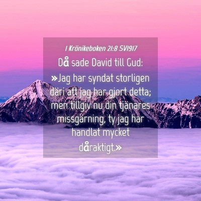 Picture 04 - 1 Krönikeboken 21:8 SV1917 - Då sade David till Gud: »Jag har syndat - Bible Verse Picture