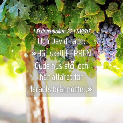 Picture 04 - 1 Krönikeboken 22:1 SV1917 - Och David sade: »Här skall HERREN Guds hus - Bible Verse Picture