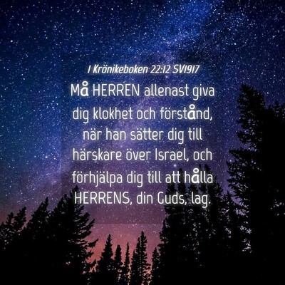 Picture 04 - 1 Krönikeboken 22:12 SV1917 - Må HERREN allenast giva dig klokhet och - Bible Verse Picture
