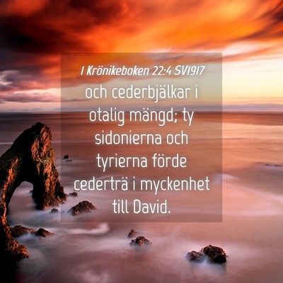 Picture 04 - 1 Krönikeboken 22:4 SV1917 - och cederbjälkar i otalig mängd; ty sidonierna - Bible Verse Picture
