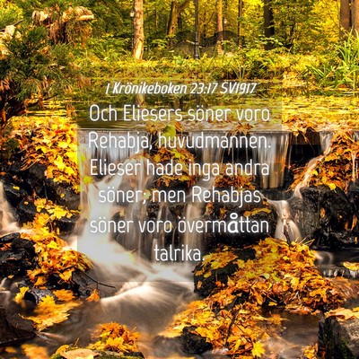 Picture 04 - 1 Krönikeboken 23:17 SV1917 - Och Eliesers söner voro Rehabja, huvudmannen. - Bible Verse Picture
