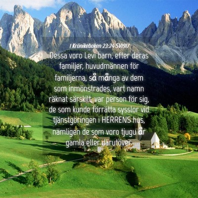 Picture 04 - 1 Krönikeboken 23:24 SV1917 - Dessa voro Levi barn, efter deras familjer, - Bible Verse Picture