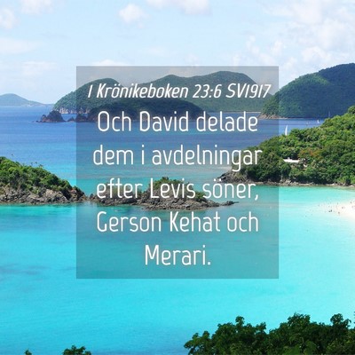 Picture 04 - 1 Krönikeboken 23:6 SV1917 - Och David delade dem i avdelningar efter Levis - Bible Verse Picture