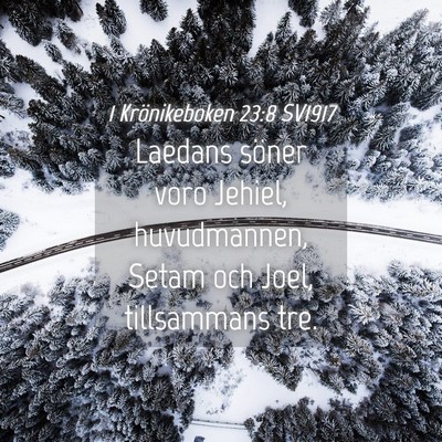 Picture 04 - 1 Krönikeboken 23:8 SV1917 - Laedans söner voro Jehiel, huvudmannen, Setam - Bible Verse Picture