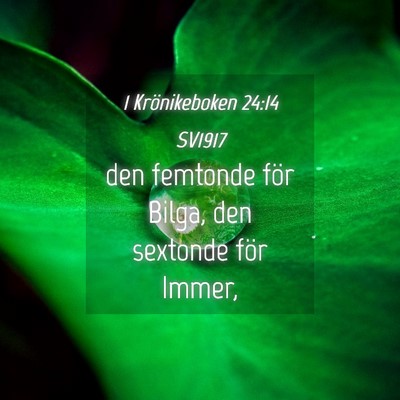 Picture 04 - 1 Krönikeboken 24:14 SV1917 - den femtonde för Bilga, den sextonde för - Bible Verse Picture