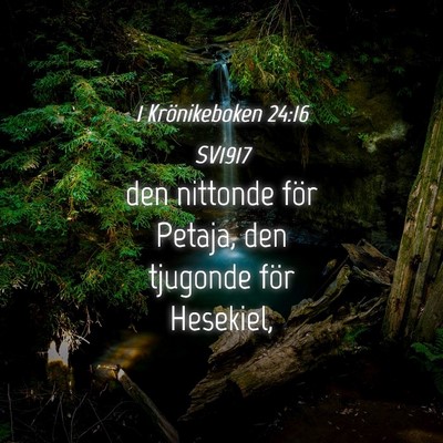 Picture 04 - 1 Krönikeboken 24:16 SV1917 - den nittonde för Petaja, den tjugonde för - Bible Verse Picture